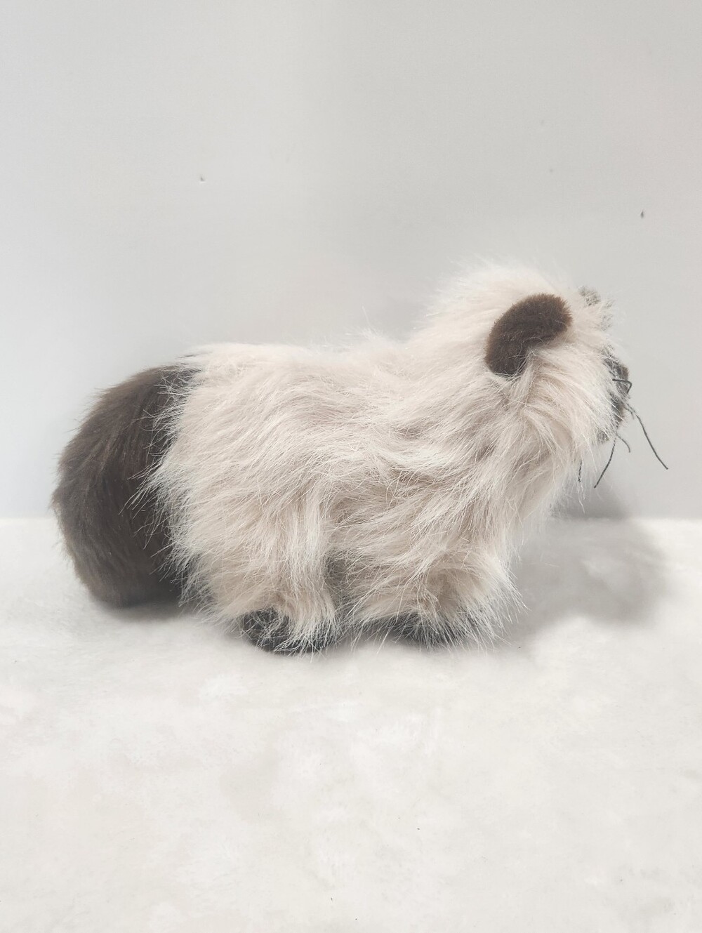Ganz Webkinz Himalayan Persian Siamese Cat Stuffie Plush Toy With Code HM165 - Picture 4 of 12